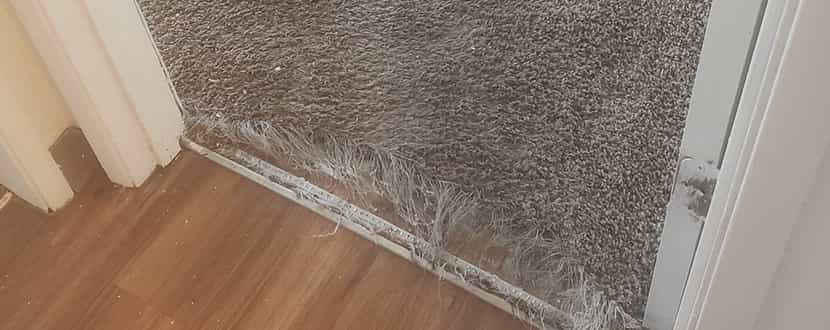 Carpet Repair Mornington Peninsula